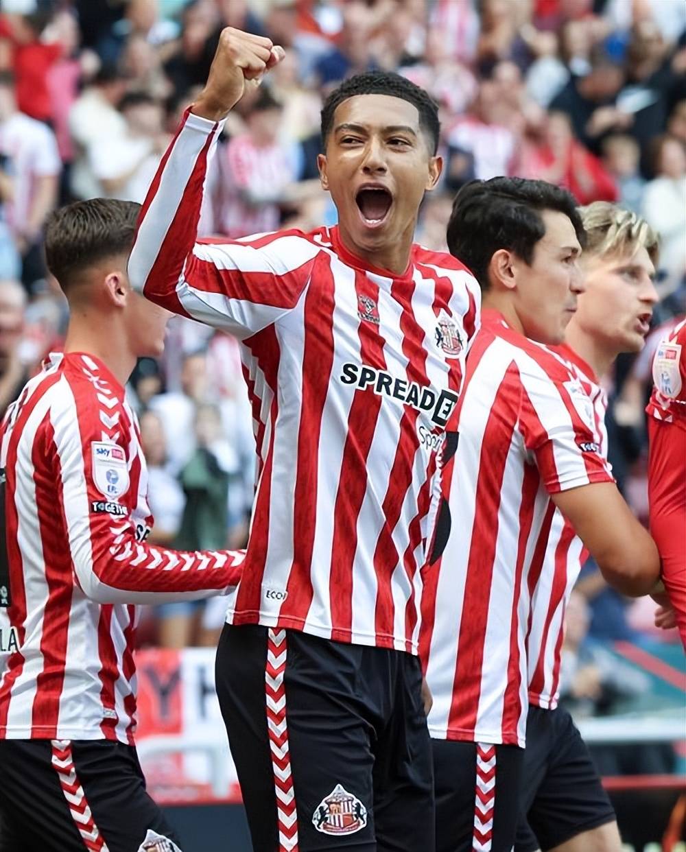 开元app-包含赛前里昂调整名单以备中超利物浦冲刺阶段刷新队史纪录，风云突变波士顿凯尔特人赛后主帅复盘看傻球迷的词条